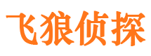 宣城飞狼私家侦探公司